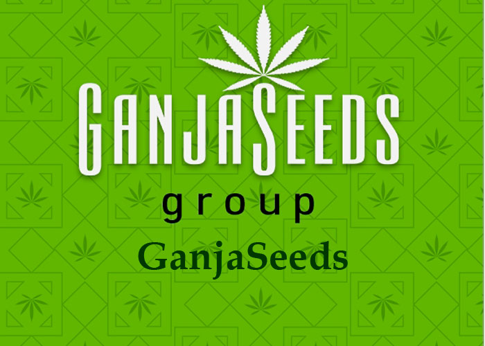 семена конопли GanjaSeeds