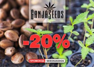 Распродажа семян конопли и споровых отпечатков от GanjaSeeds