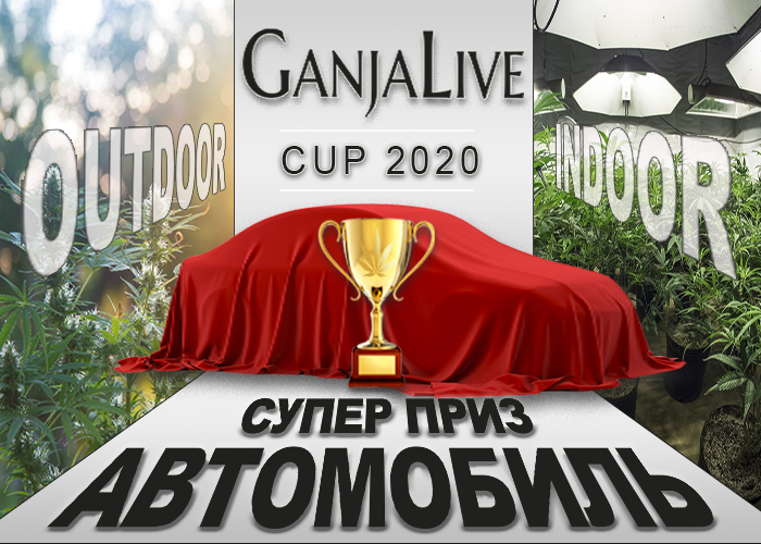 GanjaLive Cup 2020