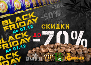 На GanjaSeeds Black Friday вся неделя, до 07.12.20 скидки до 70%!