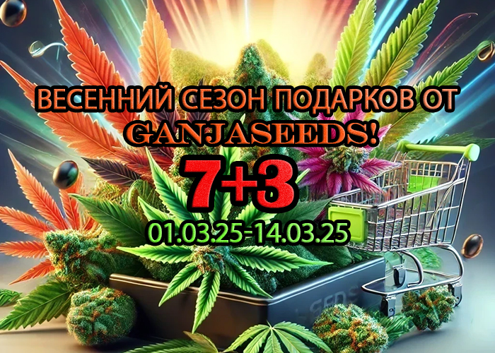 Весенний сезон подарков от GanjaSeeds!