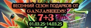 Весенний сезон подарков от GanjaSeeds!