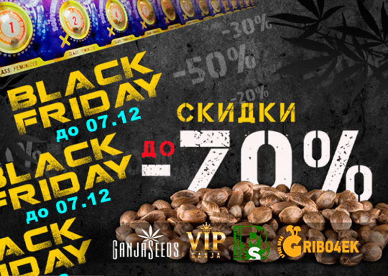 На GanjaSeeds Black Friday вся неделя, до 07.12.20 скидки до 70%!