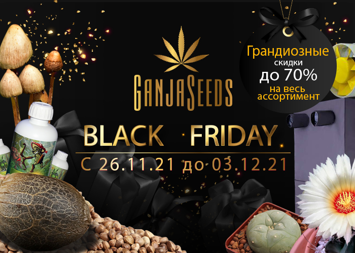 GanjaSeeds обещает скидки до 70% на все товары в Черную Пятницу