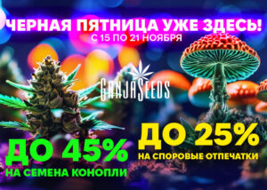 Неделя скидок к Чёрной Пятнице в GanjaSeeds!